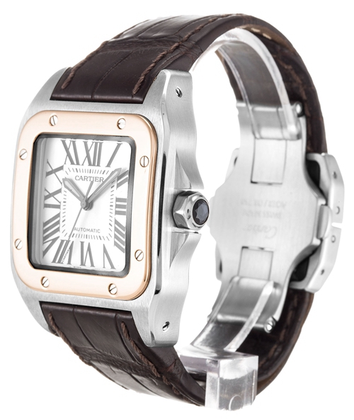 Cartier Santos 100 W20107X7 - view 3