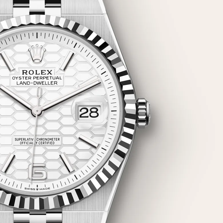 Rolex Land-Dweller 36 White Gold - gallery