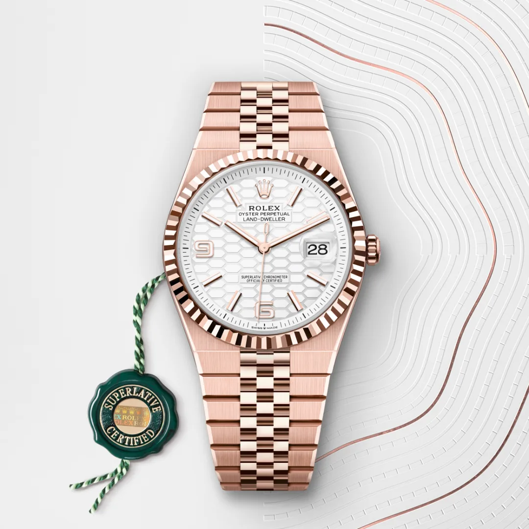 Rolex Land-Dweller 36 Intense White - gallery